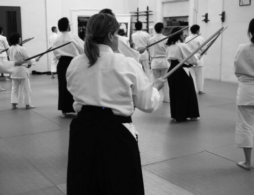 Domeniche di Aikido